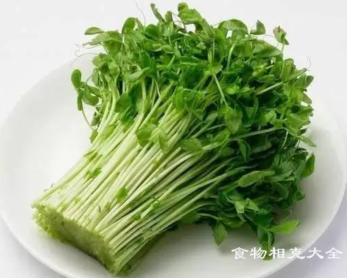 豆苗不能和什么一起吃