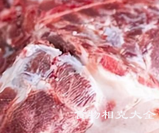 前腿肉的营养价值